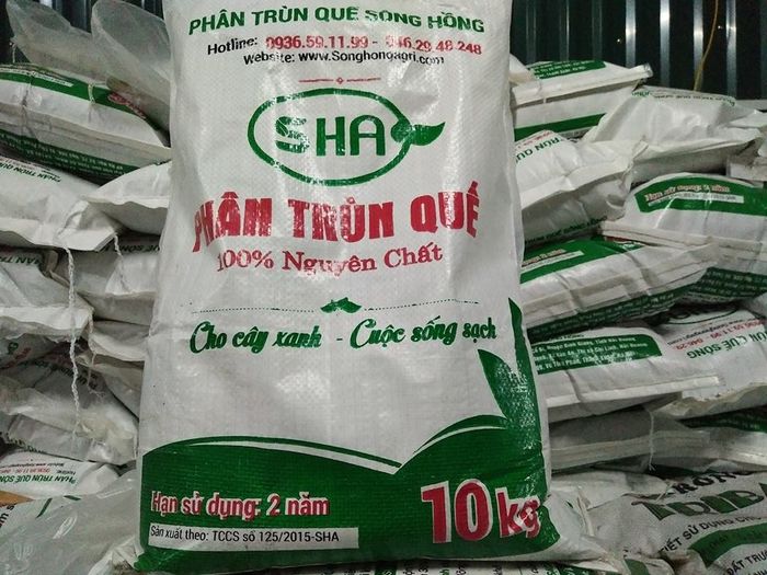 Phân trùn quế (phân giun quế) Sông Hồng ảnh 1