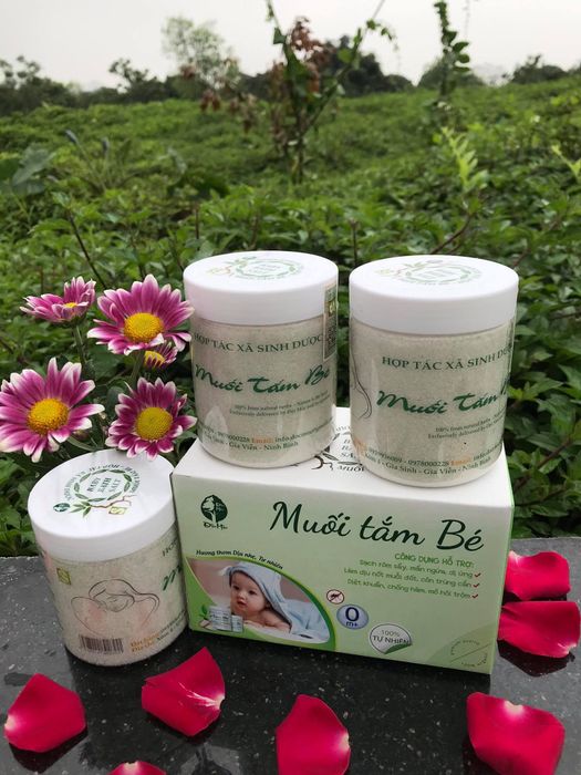 Muối Tắm Bé Sinh Dược Độc Mộc - Hình 1