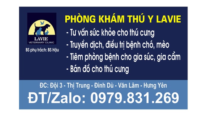 Hình ảnh Phòng Khám Thú Y Lavie 1