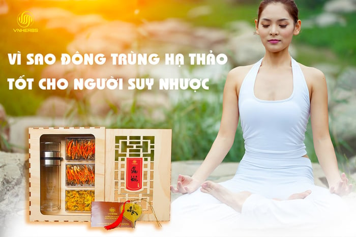 Hình ảnh 1 của Đông Trùng Hạ Thảo VNHerbs