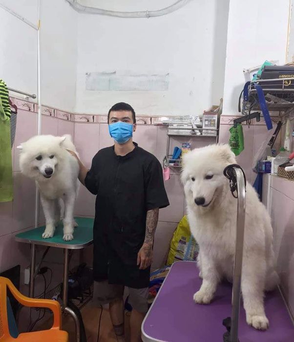 LuLu Pet Shop Hình 3