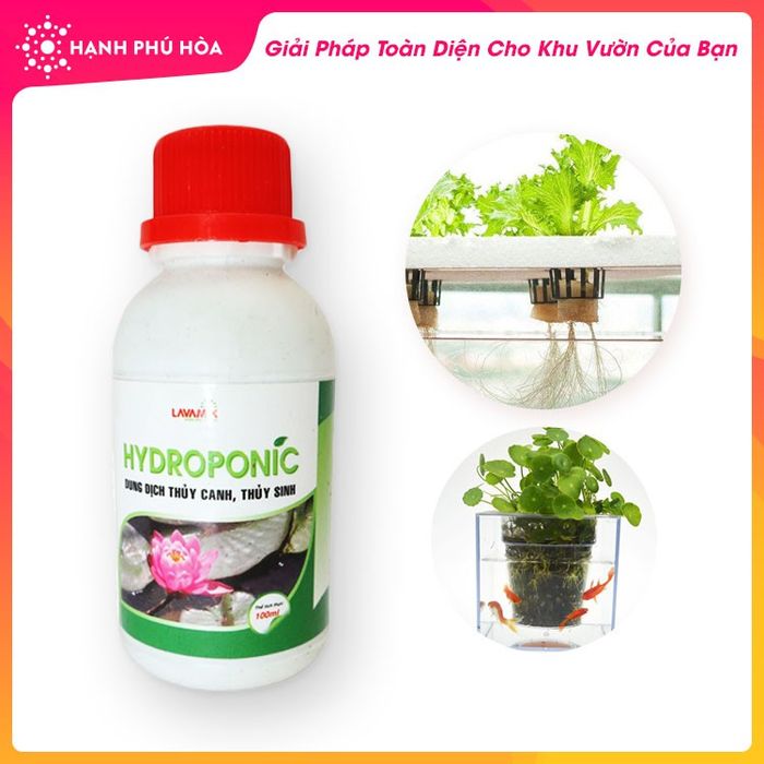 Dung dịch phân bón thủy canh Hydroponic - Ảnh 2