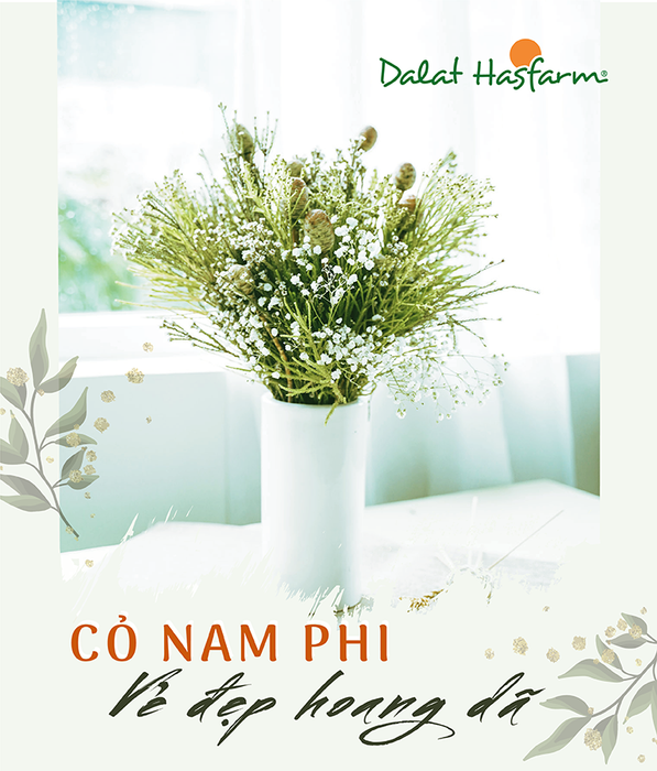 Hình ảnh Dalat Hasfarm 1