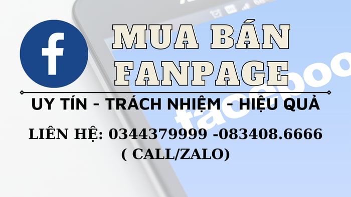 Dịch vụ mua bán fanpage của Trịnh Tình - Hình ảnh 1