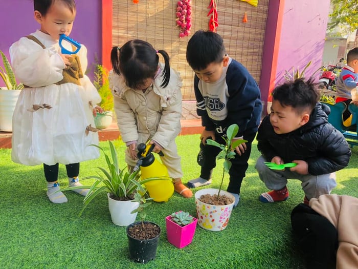 Trường Mầm non song ngữ Vườn Xuân - Hình ảnh 2 của Spring Garden Bilingual Kindergarten