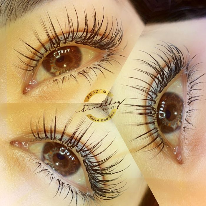 Hình ảnh 2 của Đinh Thủy Nối Mi