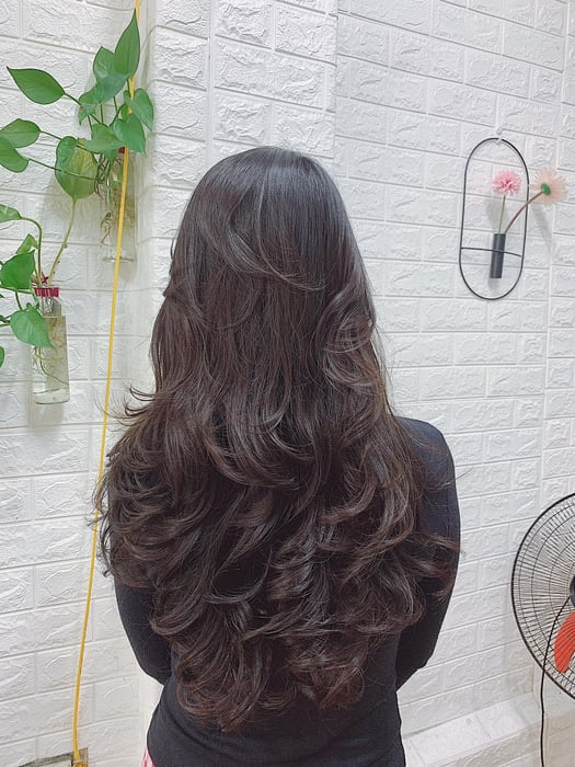 Hình ảnh 2 của Salon Hoàng Mến