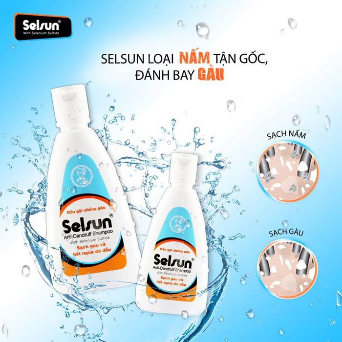 Dầu gội Selsun Anti-Dandruff Shampoo - Điều trị gàu, nấm và ngứa da đầu - Hình 2