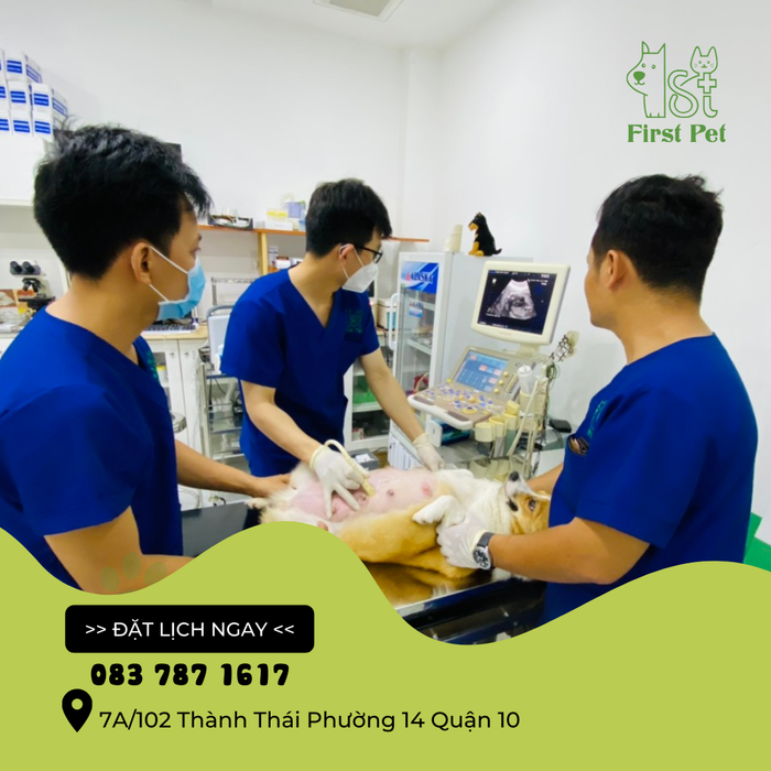 Phòng khám Thú Y First Pet - Hình ảnh 2