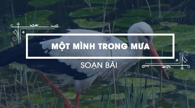 Hình minh họa (Nguồn: internet) hình 1