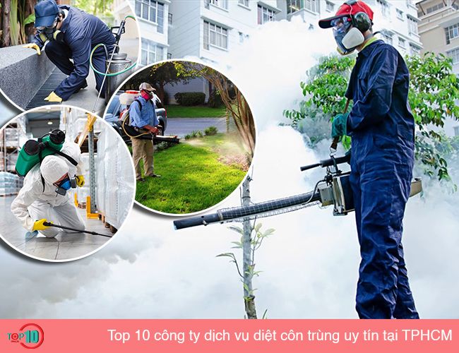 Dịch Vụ Kiểm Soát Côn Trùng Anh Phát (Pest Control Anh Phát) - Hình ảnh 1