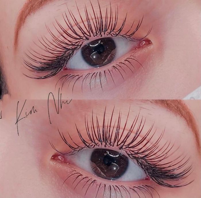 Nhi Lash Artist hình ảnh 1