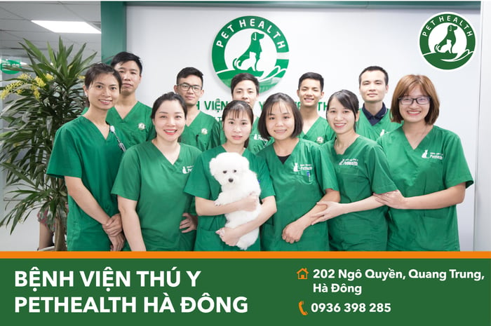 Bệnh viện thú cưng PetHealth hình ảnh 1