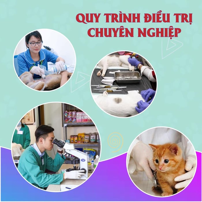 Hình ảnh Phòng khám thú y FairyPet 1