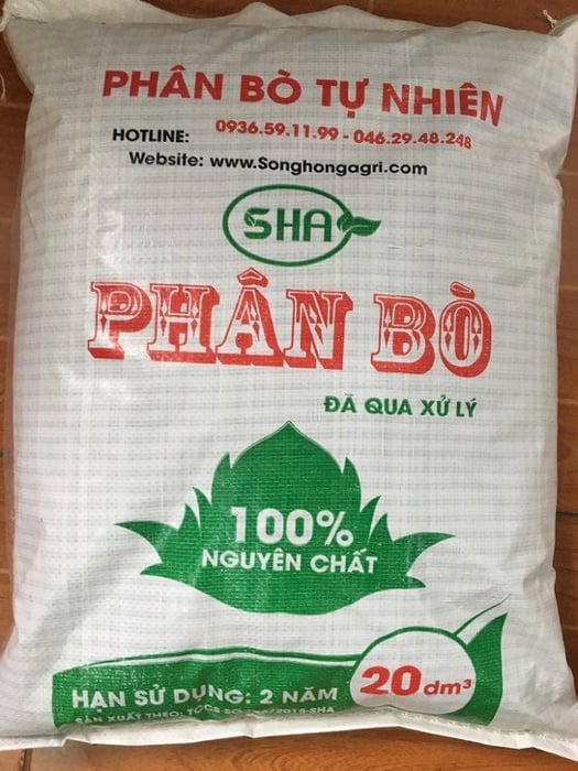 Phân Bò Khô Sông Hồng Xử Lý hình 1