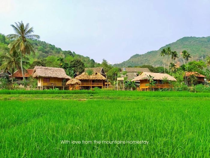 Ảnh 1 của With Love from the Mountains homestay