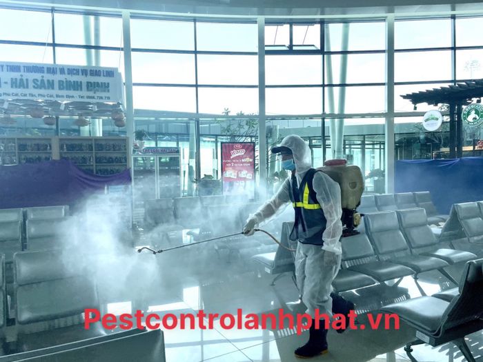 Dịch Vụ Kiểm Soát Côn Trùng Anh Phát (Pest Control Anh Phát) - Hình ảnh 2