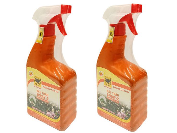 Phân bón Đầu Trâu kích thích ra hoa cho Lan Spray-2 - Hình ảnh 2