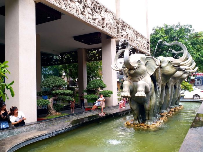 Elephants Hotel - Hình ảnh 1