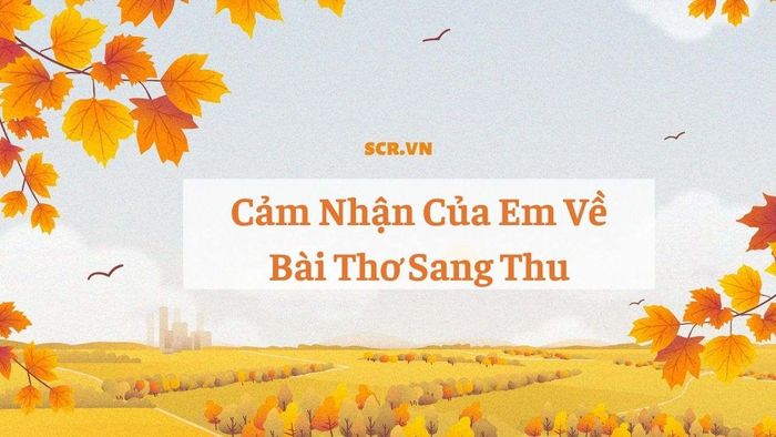 Hình ảnh minh họa (Nguồn internet) - ảnh 1