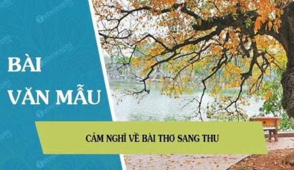 Hình ảnh minh họa (Nguồn: Internet) - ảnh 1