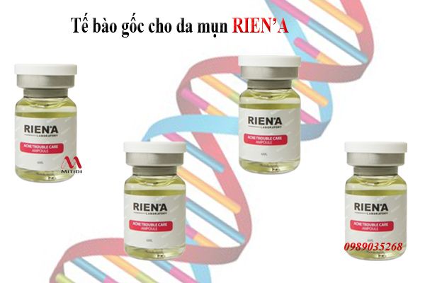 Hình ảnh 2 của sản phẩm tế bào gốc trị mụn Rien'a Acne Trouble Care Ampoule