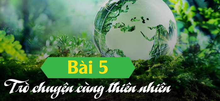 Ảnh minh họa (Nguồn từ internet) hình 1