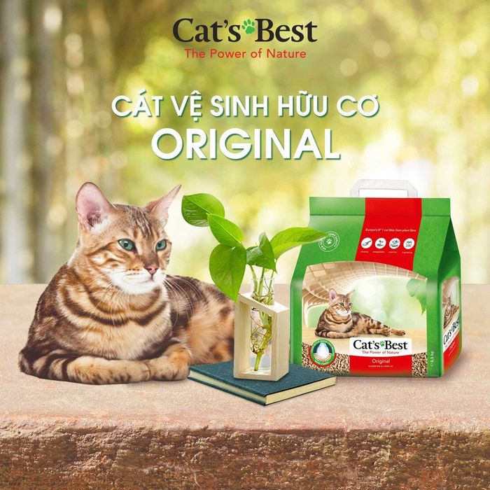 Hình ảnh cát vệ sinh hữu cơ Cat'sBest cho mèo 1