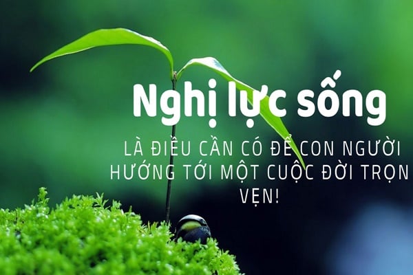 Hình minh họa (Nguồn internet) hình 1