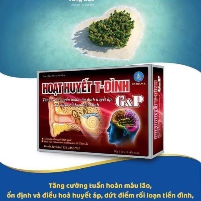 Hoạt Huyết T-Đình G&P hình 1