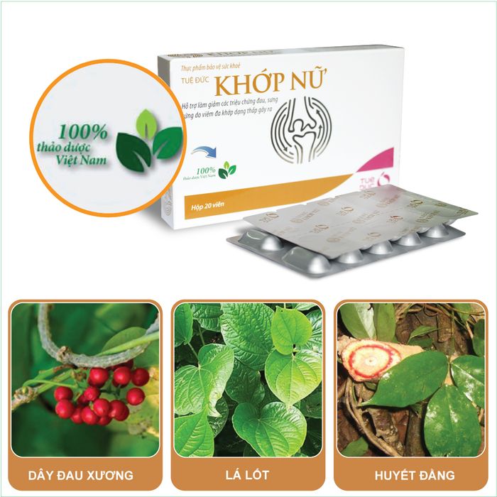 Tuệ Đức Khớp Nữ - Giảm đau hiệu quả cho viêm đa khớp dạng thấp ảnh 1