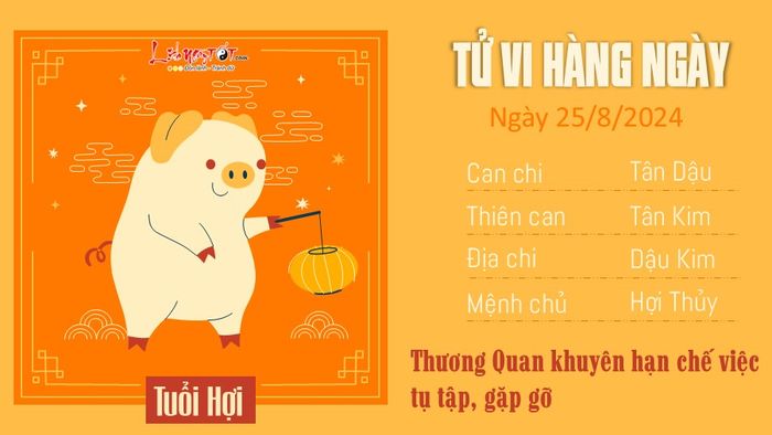 Tử vi hàng ngày 25/8/2024 của 12 con giáp - tuổi Hợi