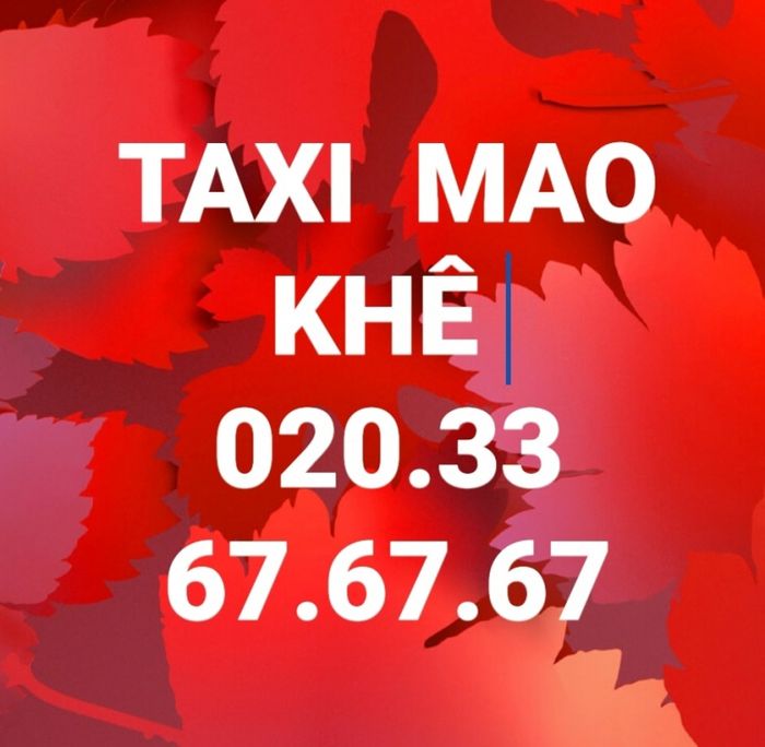 Hình ảnh TAXI MẠO KHÊ 2