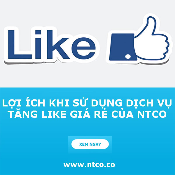 Ntco.co hình ảnh 1