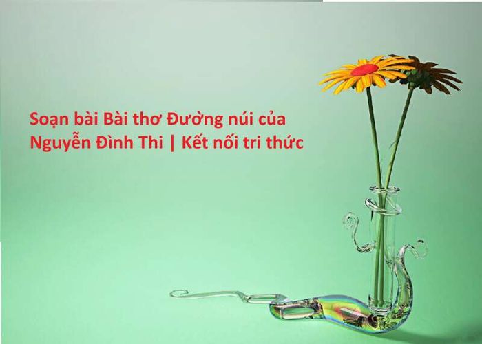 <i>Ảnh minh họa từ internet</i>