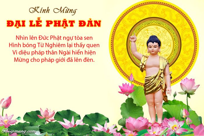 Ảnh minh hoạ (Nguồn internet) hình 2