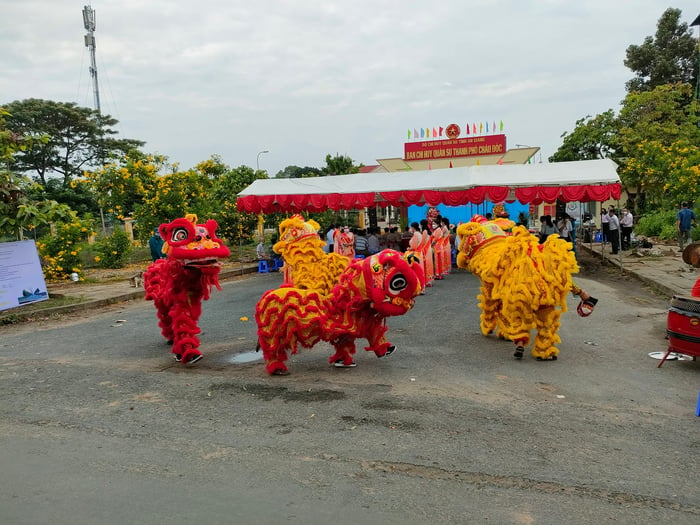 Đoàn Nghệ Thuật Lân Sư Rồng Miếu Bảy Bà - Hình 2