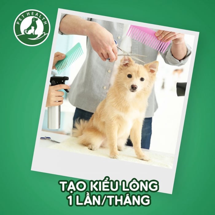 Hình ảnh Bệnh viện thú y Pethealth Thanh Hóa 1