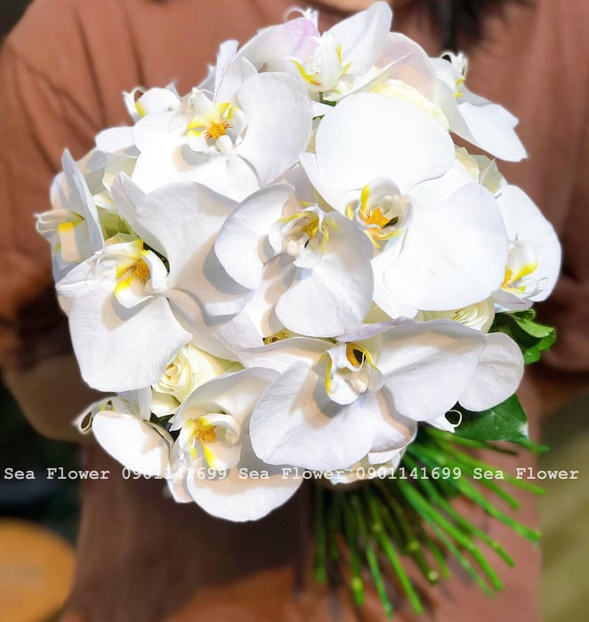 Hình ảnh Sea Flower Quy Nhơn 2