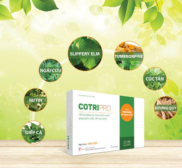 Cotripro – Viên Uống Hỗ Trợ Co Búi Trĩ - Hình ảnh 1