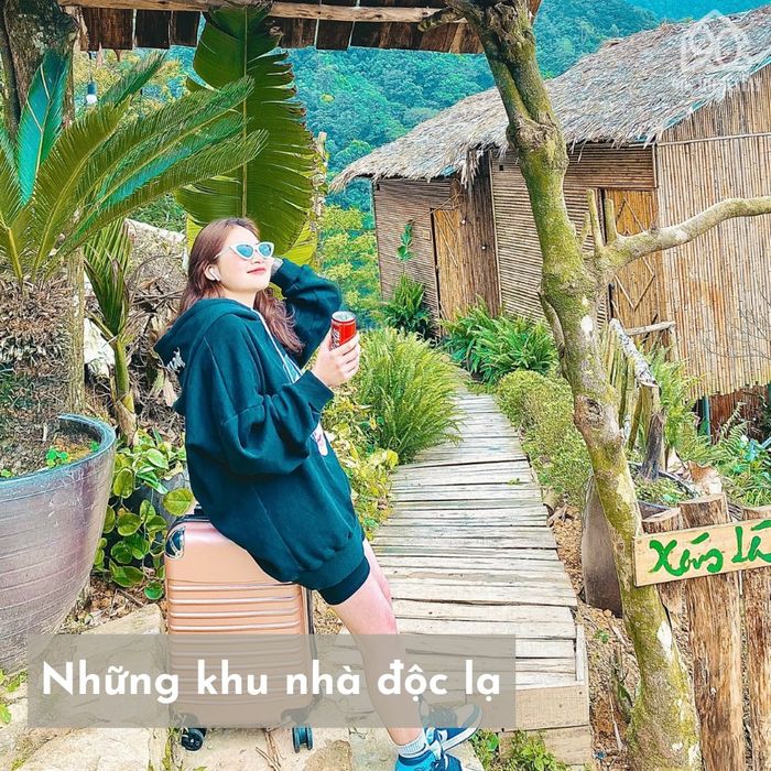 90s Homestay - Tam Đảo hình 2