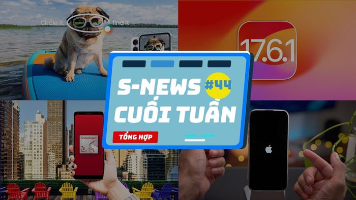 Chuyên mục S-News Cuối Tuần