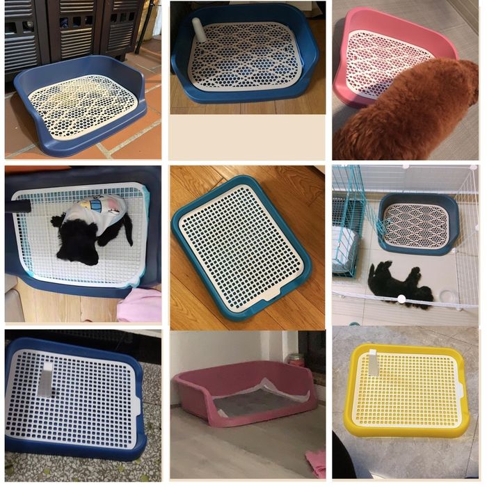 Khay Vệ Sinh Cho Chó Kích Cỡ Lớn Hình 1