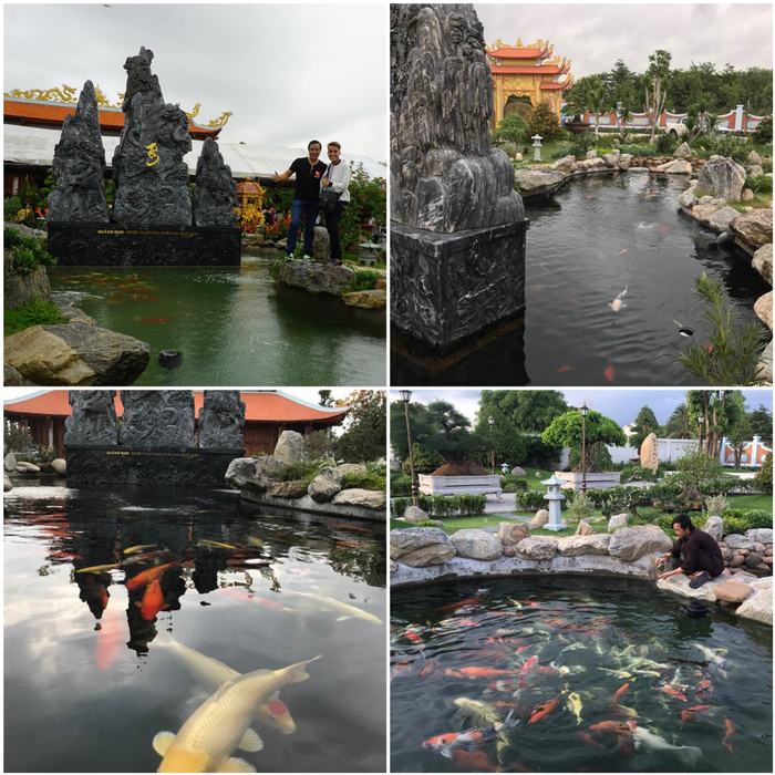 Ảnh 1 của Ruby Koi Farm