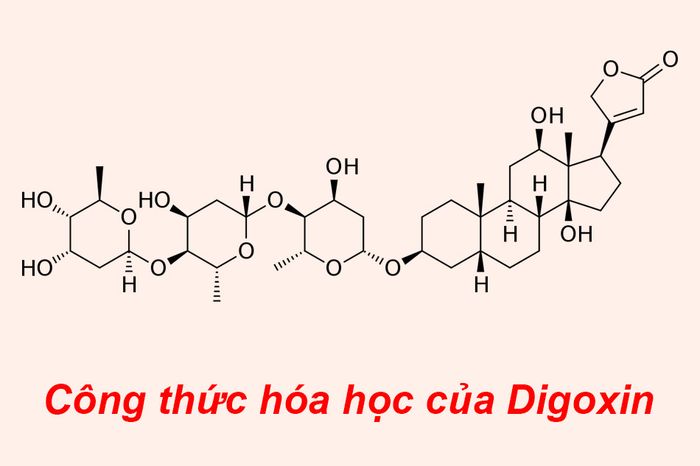 Digoxin - hình ảnh 1