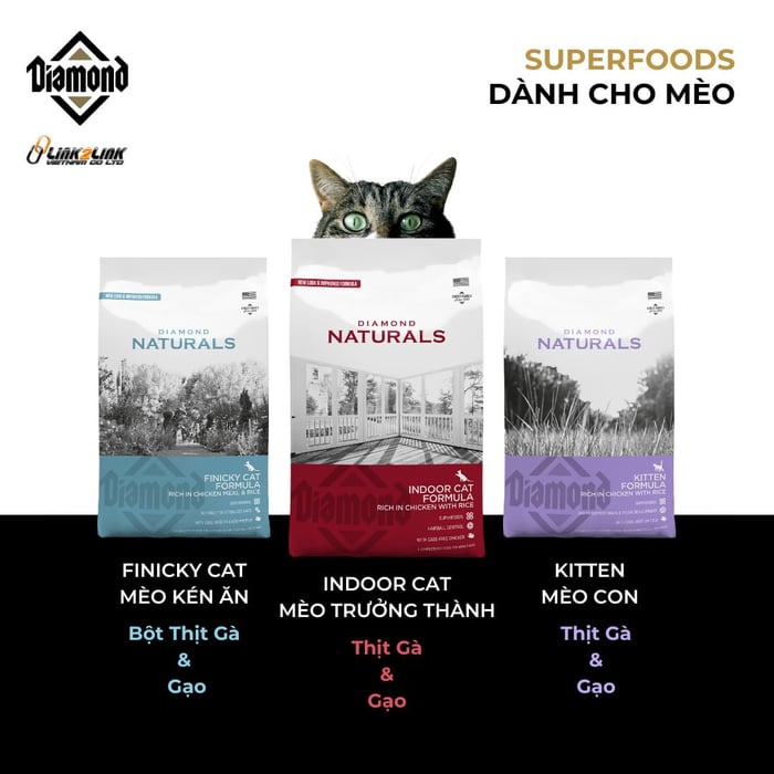 Cámmmm pet shop Phan Thiết hình 1