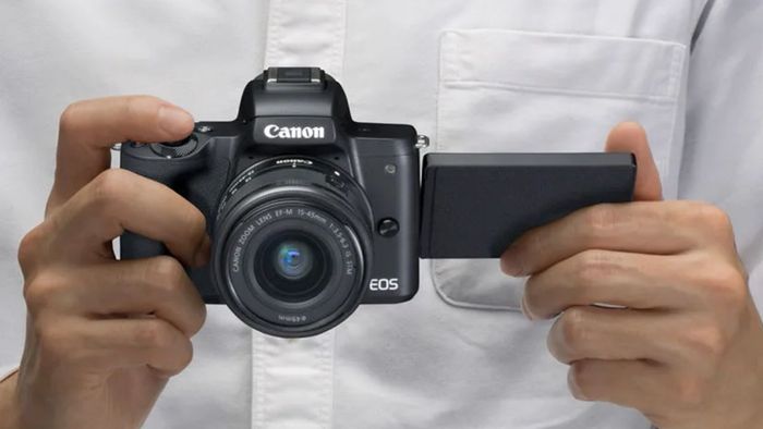 Đánh giá hệ thống lấy nét tự động của Canon M50