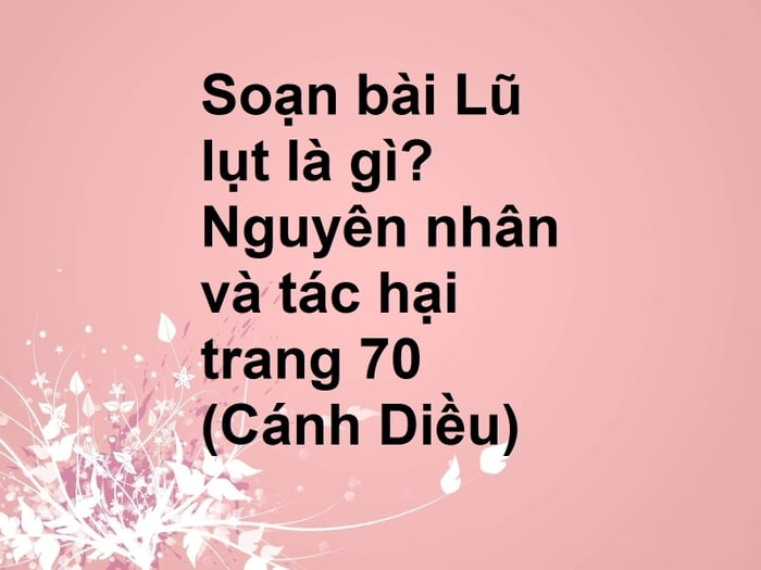 Hình minh họa (Nguồn: Internet) - ảnh 2