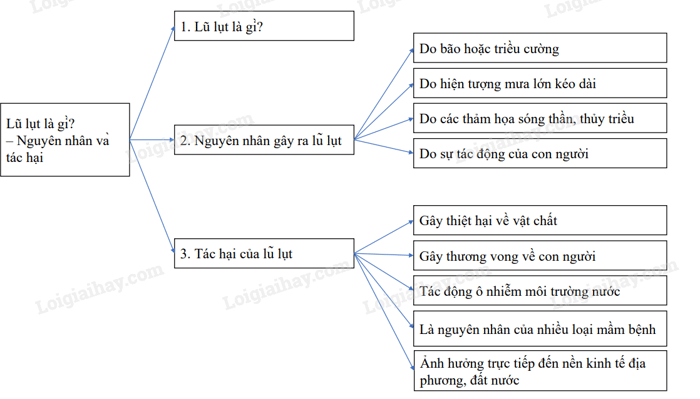 Hình minh họa (Nguồn từ internet) - Hình 2