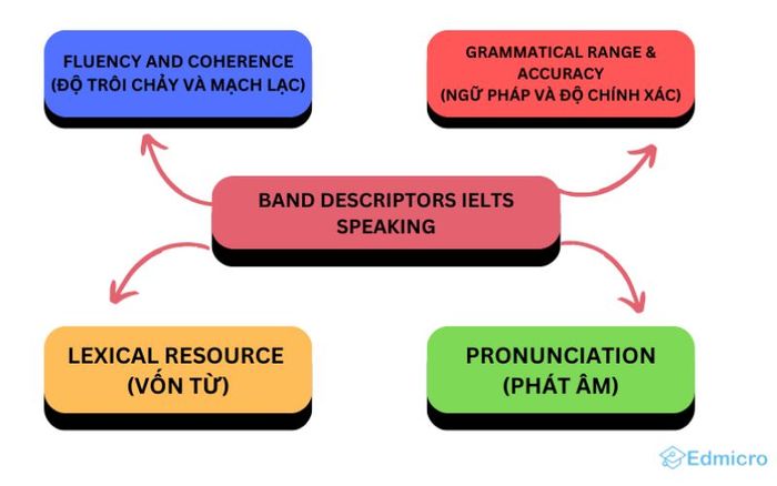 Các tiêu chí đánh giá của giám khảo trong bài thi IELTS Speaking